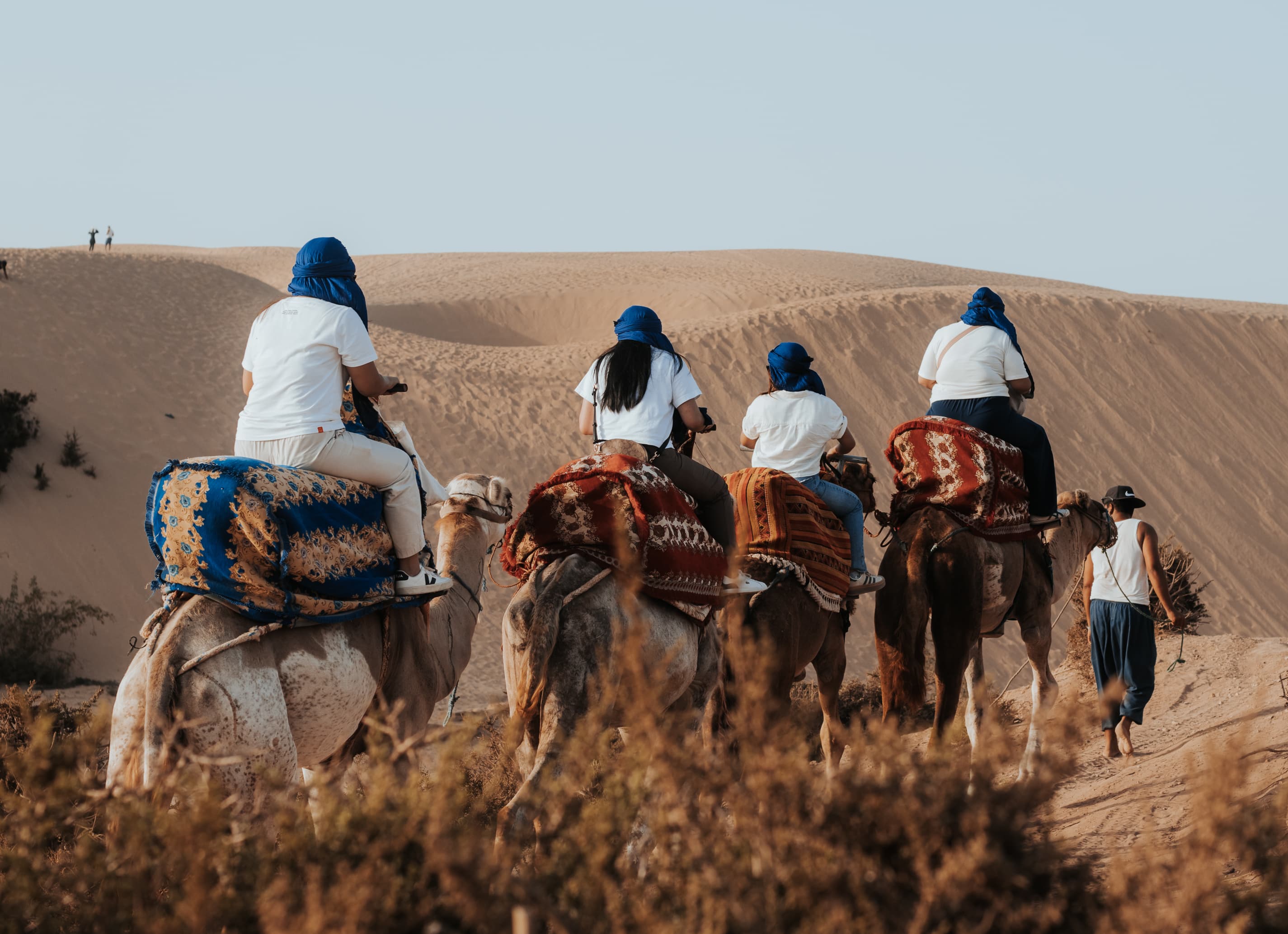 Camel ride in Timlaline